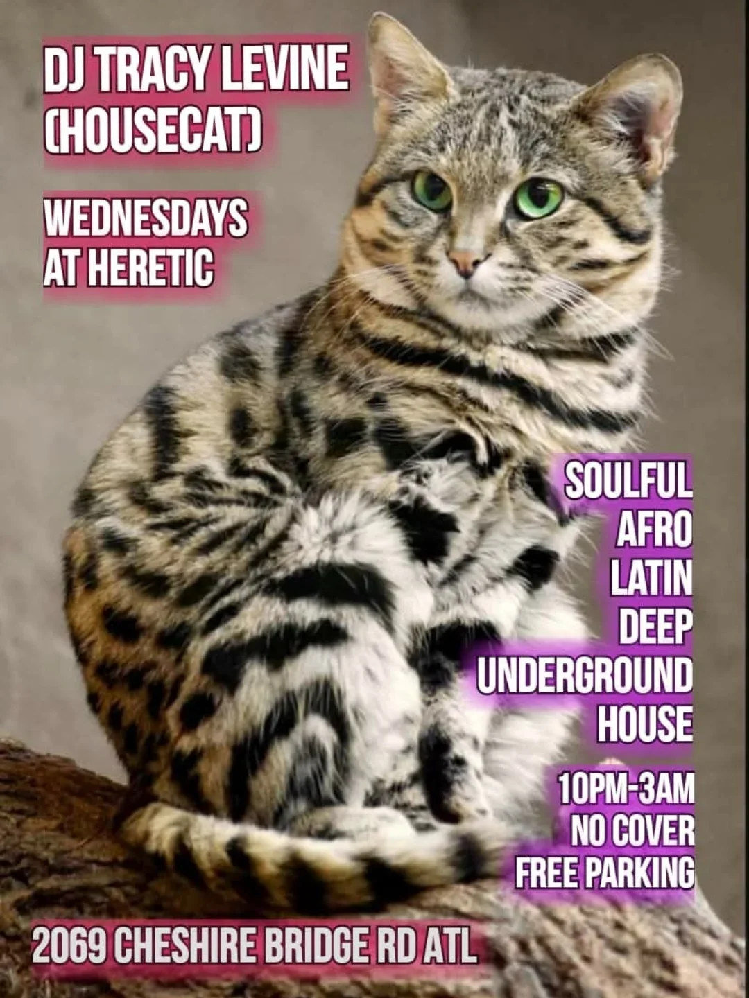 DJ Tracy Levine (Housecat) – Wednesdays at Heretic